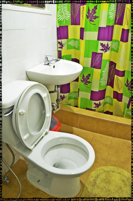 Toilet & Bathroom 2 Toilet & Bathroom 2